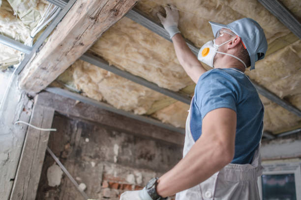 Professional Insulation Contractor in Stanton, CA