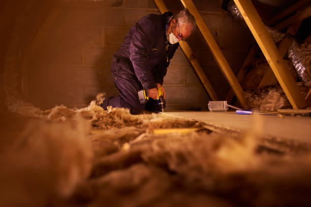 Best Commercial Insulation in Stanton, CA